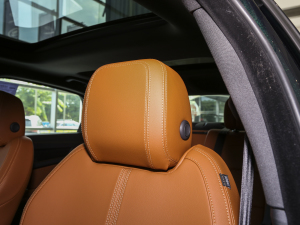 20232.0T P250 򌾫Ӣ\Ӱ g