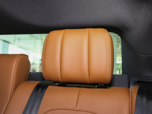 20232.0T P250 򌾫Ӣ\Ӱ g