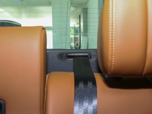 20232.0T P250 򌾫Ӣ\Ӱ g