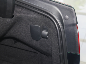 20232.0T P250 򌾫Ӣ\Ӱ g