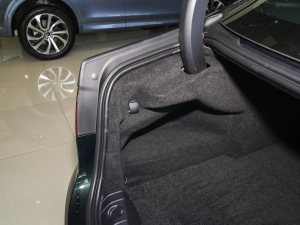 20232.0T P250 򌾫Ӣ\Ӱ g