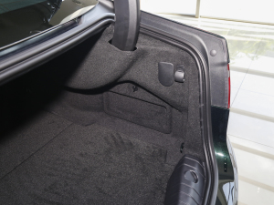 20232.0T P250 򌾫Ӣ\Ӱ g