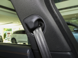 20232.0T P250 򌾫Ӣ\Ӱ g