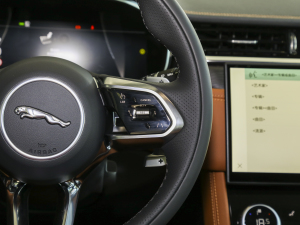 20232.0T P250 (q)Ӣ\(yn)(dng) п؅^(q)