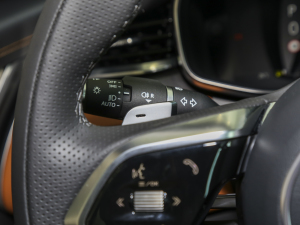 20232.0T P250 (q)Ӣ\(yn)(dng) п؅^(q)