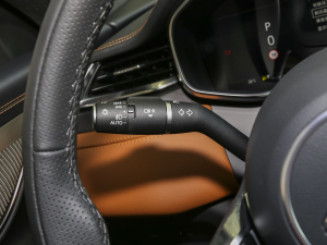 20232.0T P250 (q)Ӣ\(yn)(dng) п؅^(q)