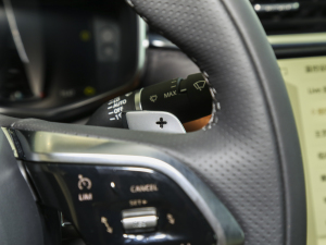 20232.0T P250 (q)Ӣ\(yn)(dng) п؅^(q)