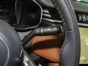 20232.0T P250 (q)Ӣ\(yn)(dng) п؅^(q)