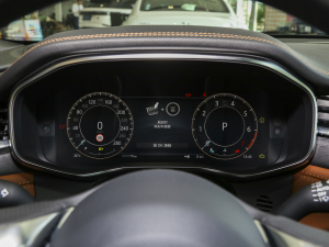 20232.0T P250 (q)Ӣ\(yn)(dng) п؅^(q)