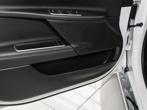 20182.0T 250PS  ǰTg