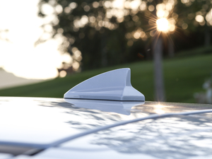 20191.5T ԄŞ VI (x)(ji)^