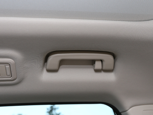 2019��1.5T �Ԅ���Ş�� ��VI ���g����