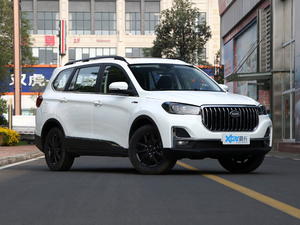 2021��PRO 2.0L �քӾ�Ӣ�� 7�� ���w���^