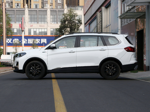 2021��PRO 2.0L �քӾ�Ӣ�� 7�� ���ȣ���