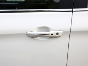 2021��PRO 2.0L �քӾ�Ӣ�� 7�� ���{�T����