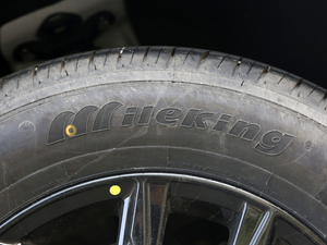 2021��PRO 2.0L �քӾ�Ӣ�� 7�� ݆̥Ʒ��