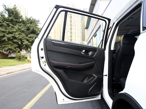 2021��PRO 2.0L �քӾ�Ӣ�� 7�� ���܇�T