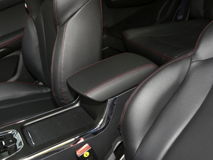 2021��PRO 2.0L �քӾ�Ӣ�� 7�� ���������