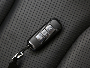 2021��PRO 2.0L �քӾ�Ӣ�� 7�� ܇耳�