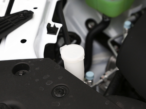 2021��PRO 2.0L �քӾ�Ӣ�� 7�� ����