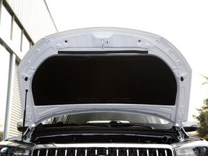 2021��PRO 2.0L �քӾ�Ӣ�� 7�� ����