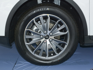 2021��PRO 1.5T �Ԅ�(d��ng)���A�� 6�� ݆Ȧ