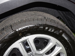 20221.5L քӾӢ 5 ݆̥Ʒ