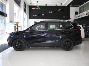 2022款PRO 1.5T DCT豪华型 7座 正侧（左）