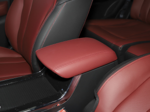 2022��PRO 1.5T DCT���A�� 7�� ���������