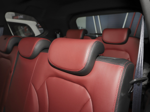 2022��PRO 1.5T DCT���A�� 7�� ���g����