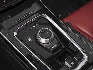 2022款PRO 1.5T DCT豪华型 7座 换挡杆