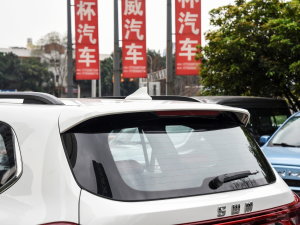 2023PRO 1.5T DCTA 7 ^