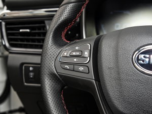 2023PRO 1.5T DCTA 7 п؅^