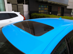 2018款2.0T Polestar 车顶