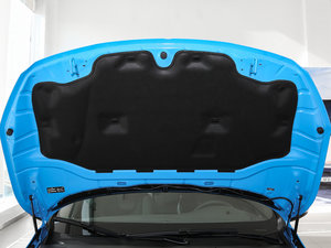 2017款2.0T Polestar 其它