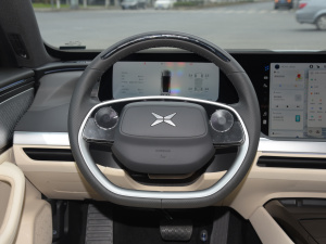 2021款480N 方向盘