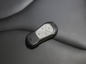 2021款G3i 460N 车钥匙