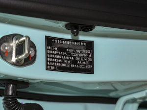 2022款G3i 460N 其它