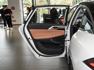 2022款460E+ 驾驶位车门