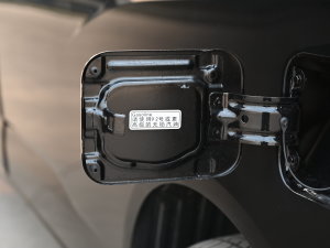 20231.6L LS̄ 7 (ji)^