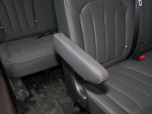 20232.0L CNGLSI\ 9 g