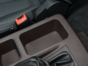 20232.0L CNGLSI\ 9 g