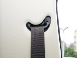 20232.0L CNGLSI\ 9 g