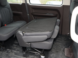 20232.0L CNGLSI\ 9 g