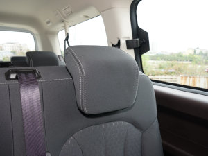 20232.0L CNGLSI\ 9 g