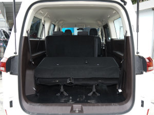 20232.0L CNGLSI\ 9 g