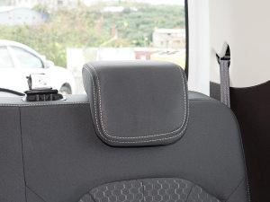 20232.0L CNGLSI\ 9 g