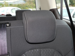 20232.0L CNGLSI\ 9 g