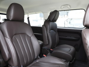 20232.0L CNGLSAI\ 9 g