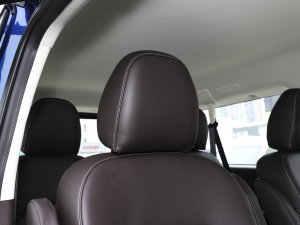 20232.0L CNGLSAI\ 9 g